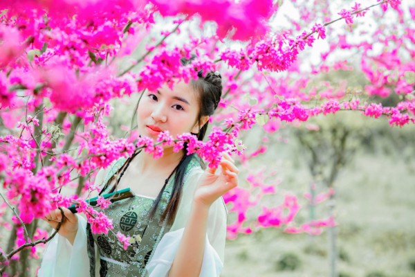 紫甘蓝菜：天然营养宝库，美味与健康并存